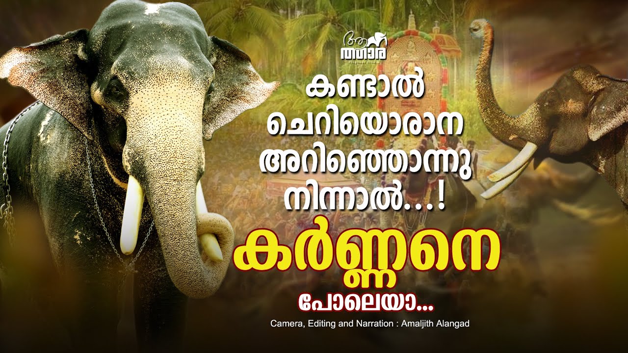 ഇവൻ കർണ്ണന്റെ പിൻഗാമിയോ? | Ithithanam Elamkavu VishnuNarayanan | Kerala Elephant | Temple Elephant