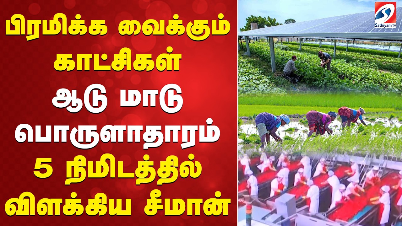 பிரமிக்க வைக்கும் காட்சிகள் - ஆடு மாடு பொருளாதாரம் - 5 நிமிடத்தில் விளக்கிய சீமான்