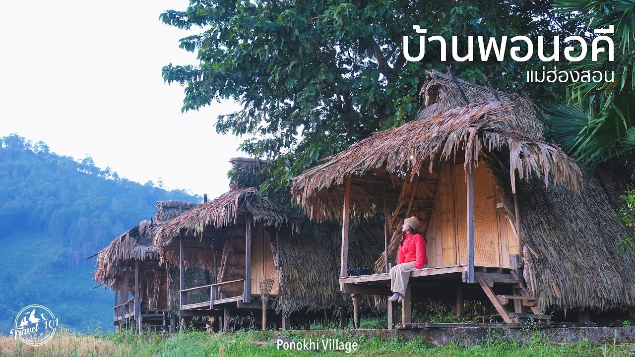 ขึ้นดอยนอนโฮมสเตย์ พอนอคีหมู่บ้านวิวนาขั้นบันไดกลางหุบเขา แม่ฮ่องสอน | EP.170 Ponokhi