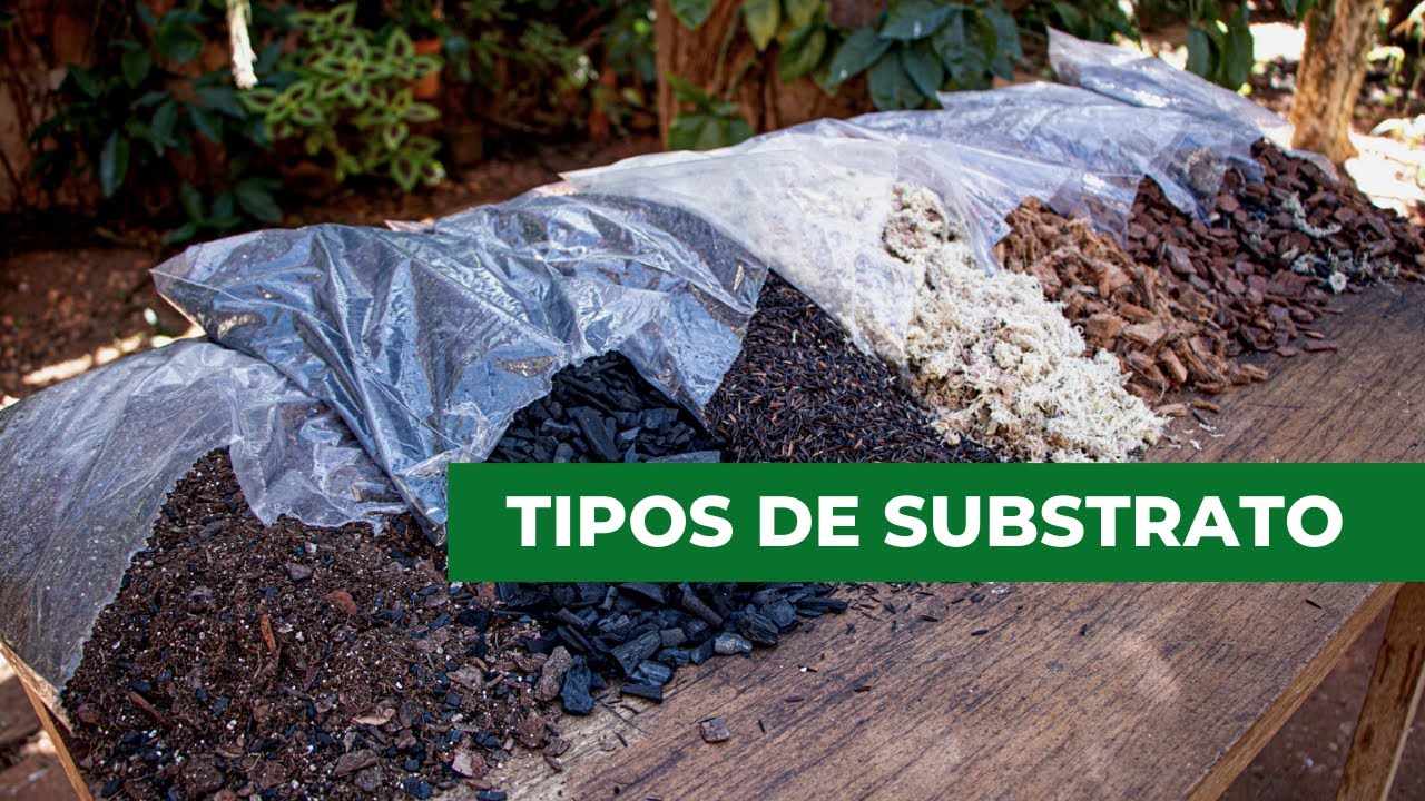 Tipos de Substrato para Orquídeas