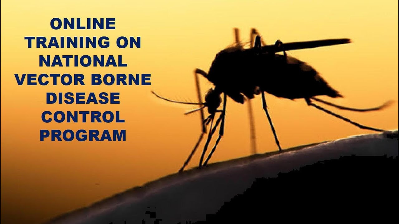 Online training on National Vector Borne Disease Control Program for FHCs