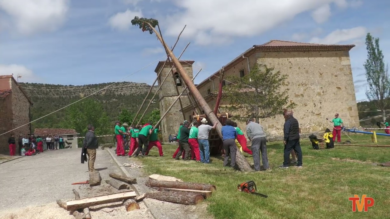 Pingada del Mayo en Hortezuelos