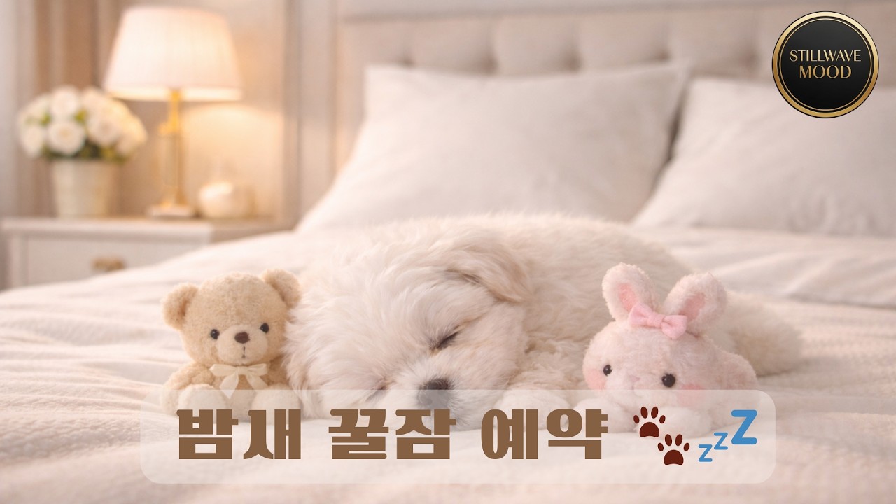 [강아지가 좋아하는 12시간 수면음악] 잠 안 자는 강아지 5분만에 기절시키는 자장가