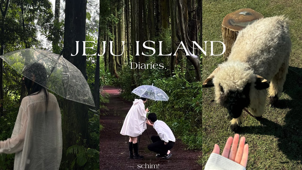 [ЧЕДЖУ] 🍊 Чеджу Местные рекомендуемые места.ZIP🗿| Лето на Чеджу🌱| Лес Чеджу | Пляж Чеджу
