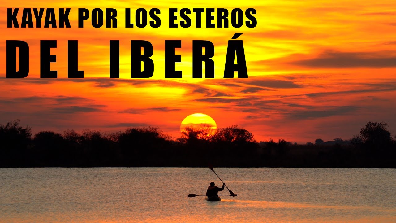 KAYAK POR EL PANTANO - CAPÍTULO 14