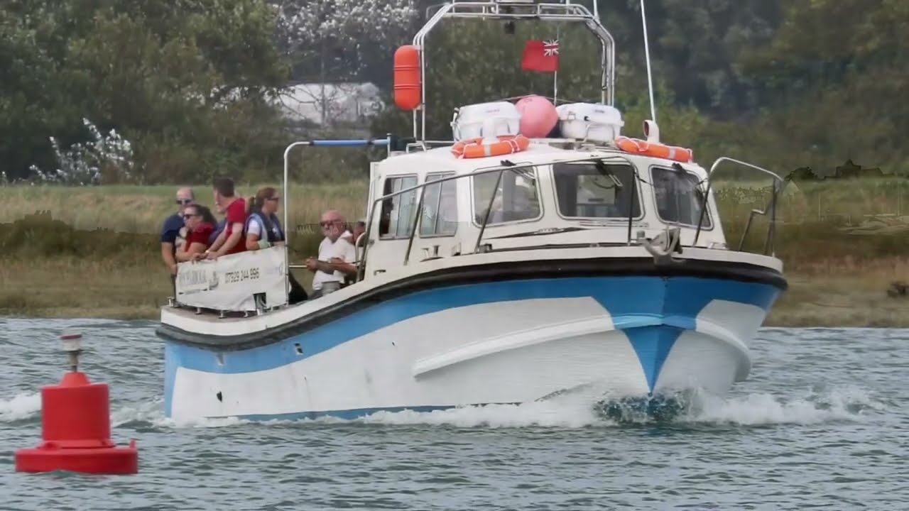 Rye Harbour Sea Safari & Boat Trips