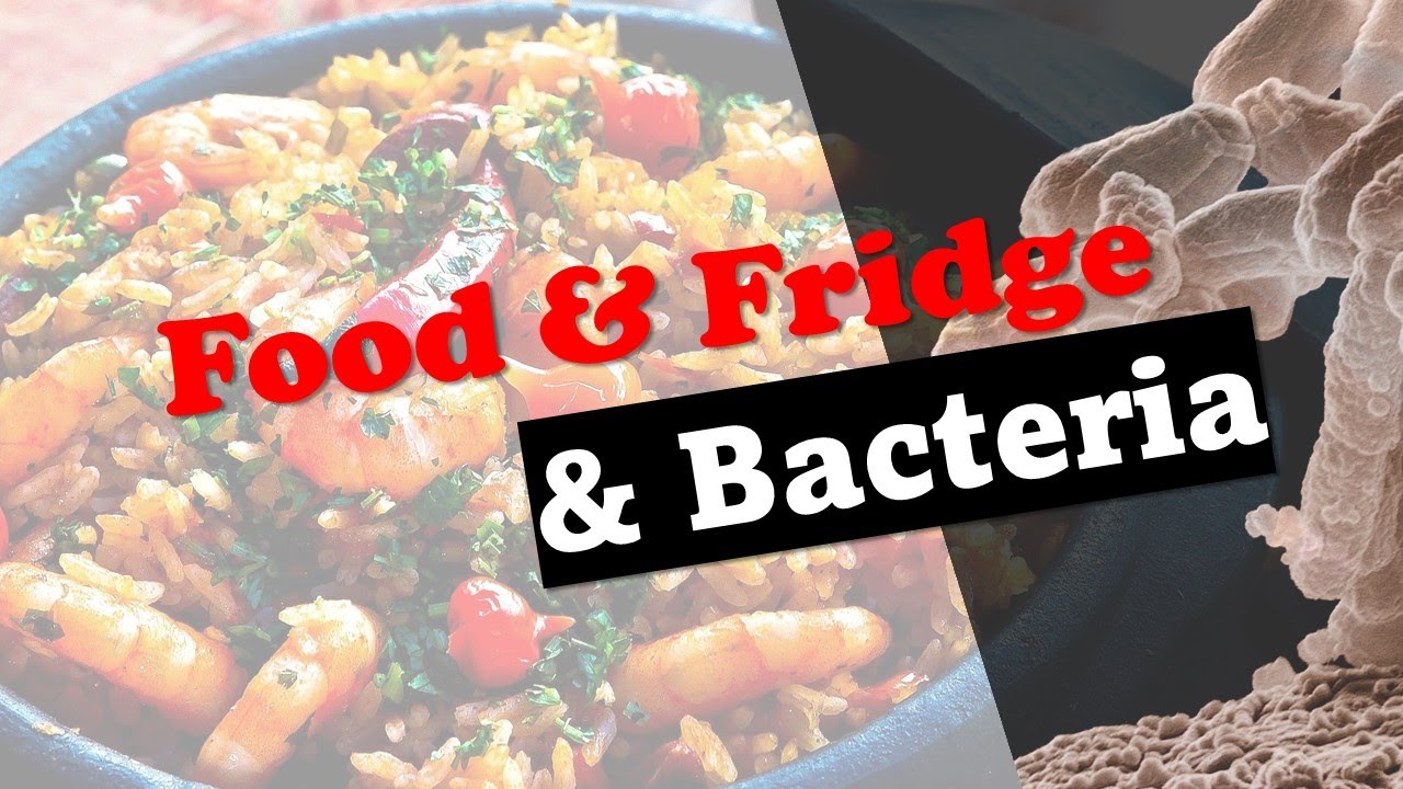 The Food, The Fridge, and The Bacteria