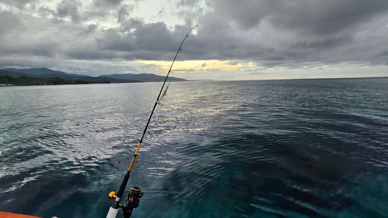 Unexpected sea sick