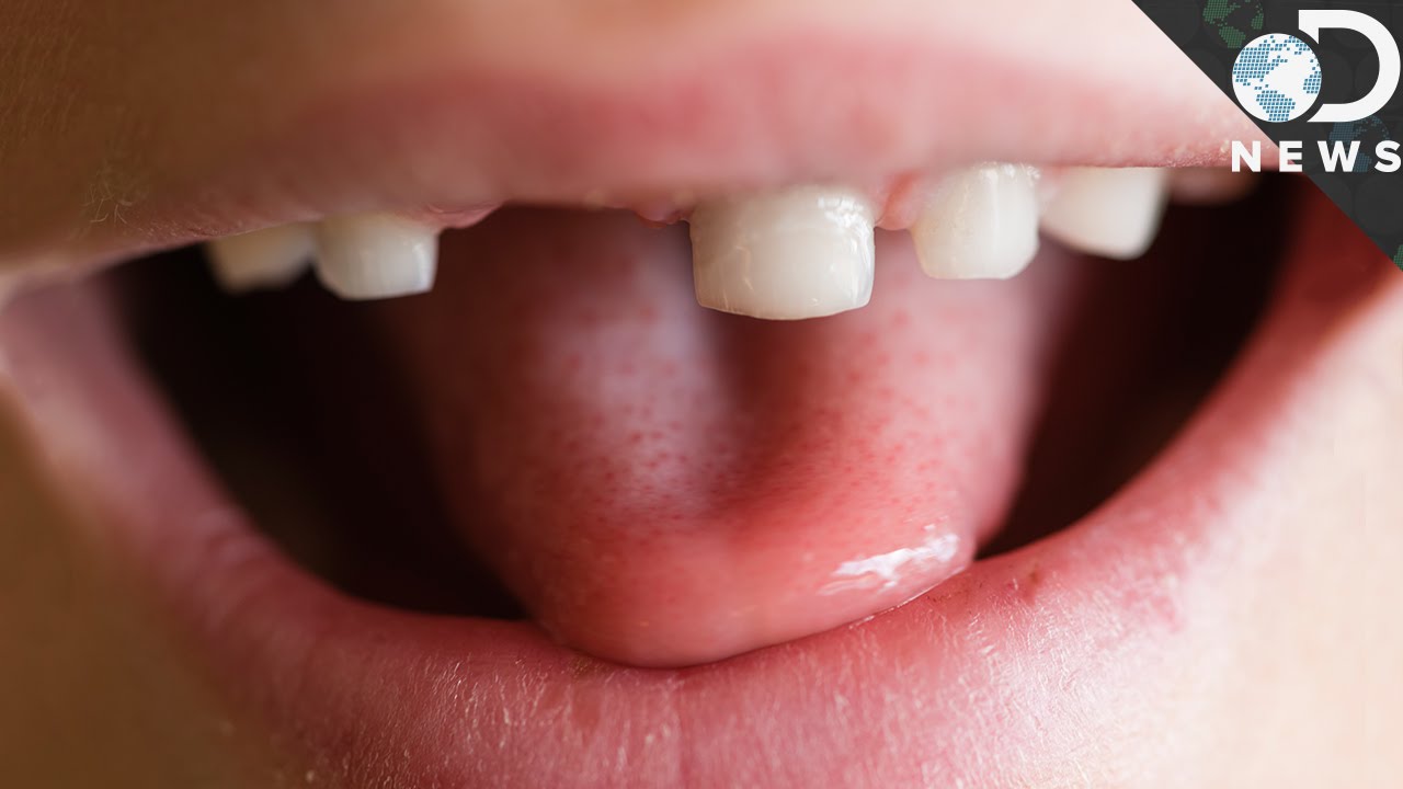 Why Do We Have Baby Teeth?
