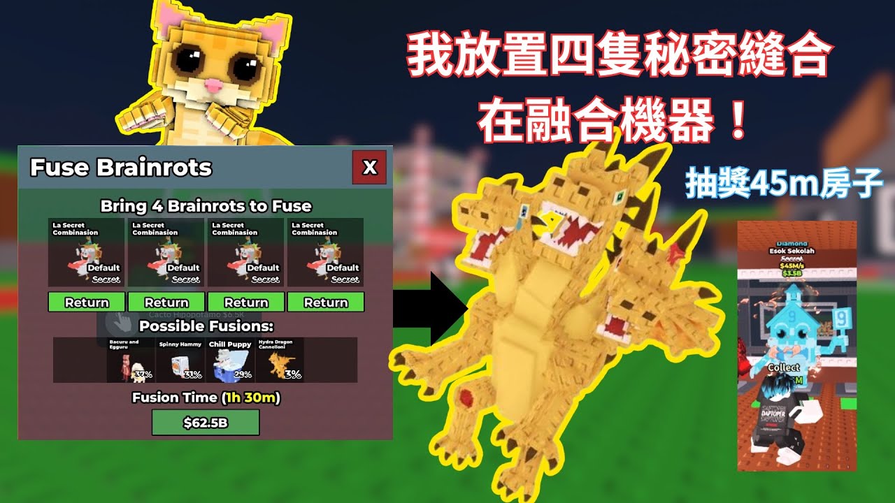 偷走一個腦紅更新 | 更新ay mi gatito! | 我放四隻秘密縫合進去可以拿到什麼！？ |抽獎45m鑽石房子 | 【#roblox #stealabrainrot 】