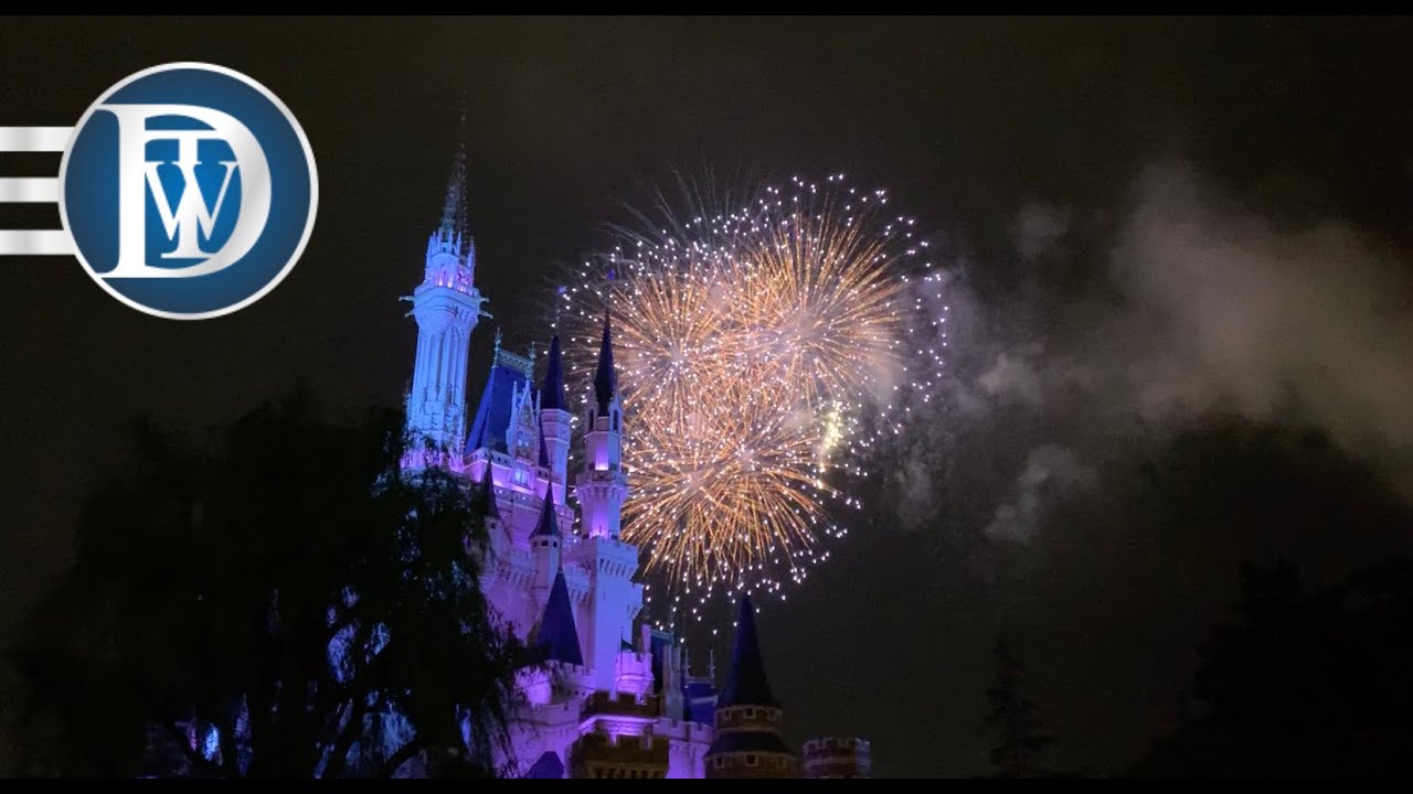 Tokyo Disneyland Disney Light the Night Fireworks View Point Tip