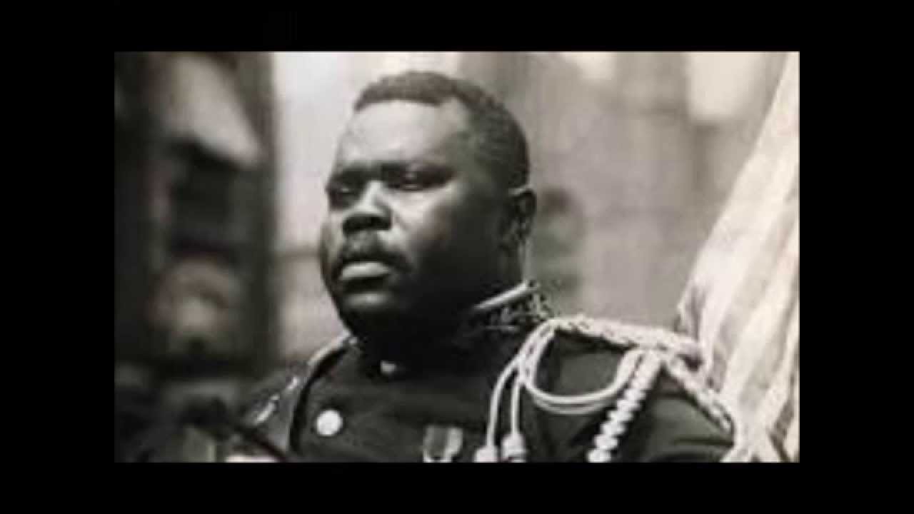 African American Politics: A History of Struggle