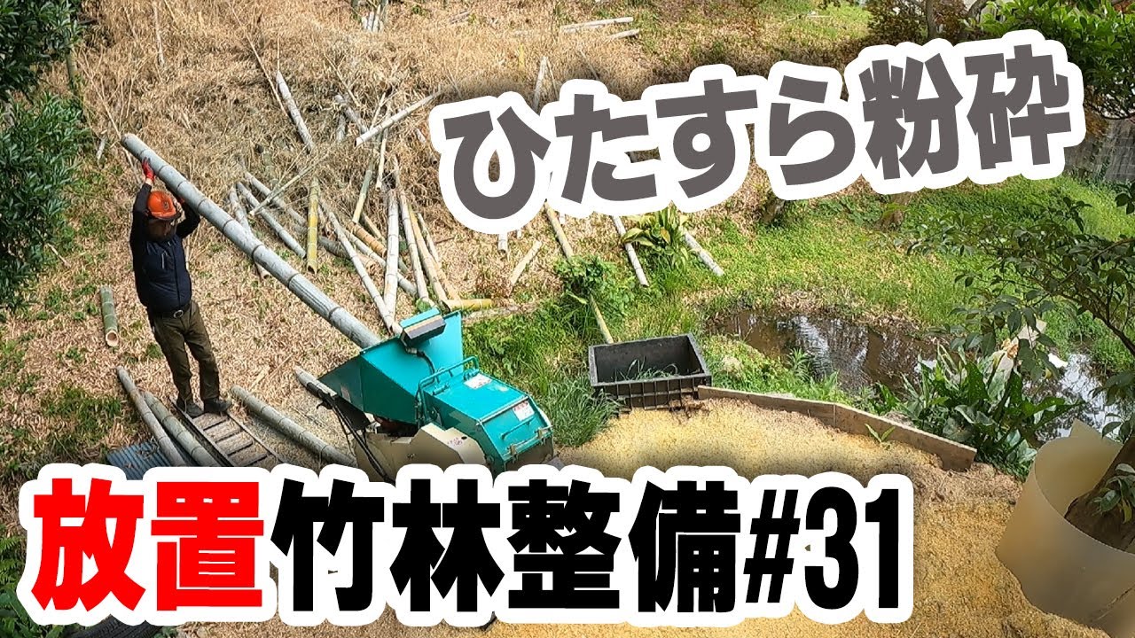 ウッドチッパーで大量の竹を粉砕！【竹林整備】#31