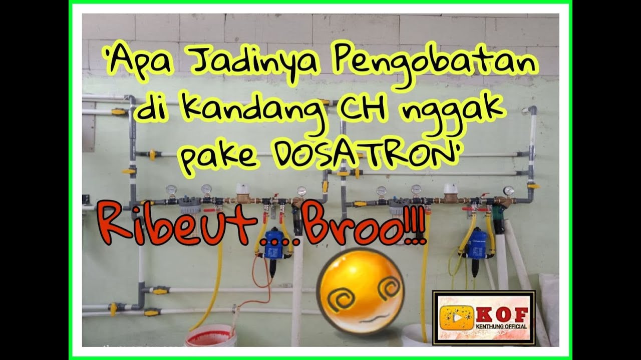 Apa Jadinya Pengobatan Kandang Closed House Enggak Pakai Dosatron??