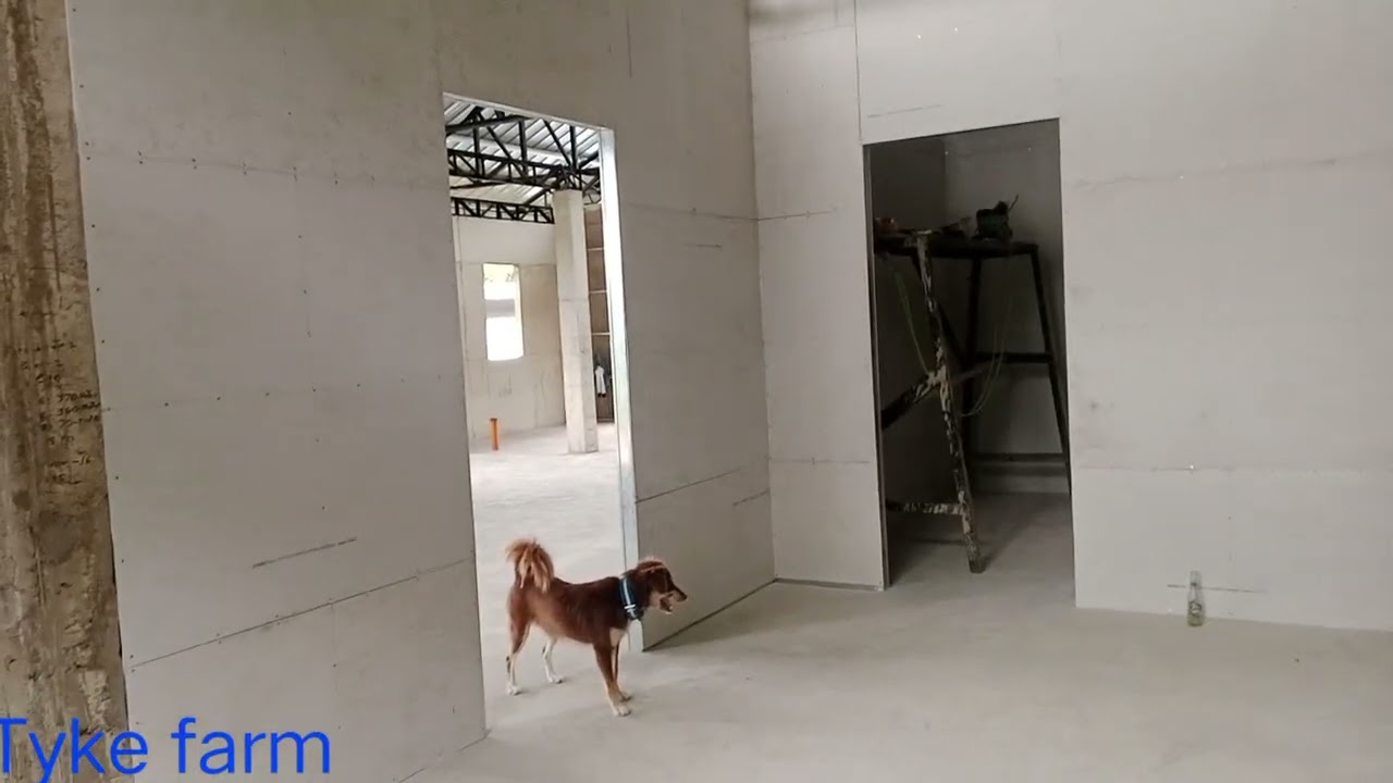 HOUSE BUILD HALTED