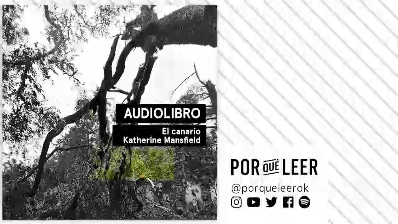 EL CANARIO - Katherine Mansfield | Audiolibro voz humana | Audiocuento