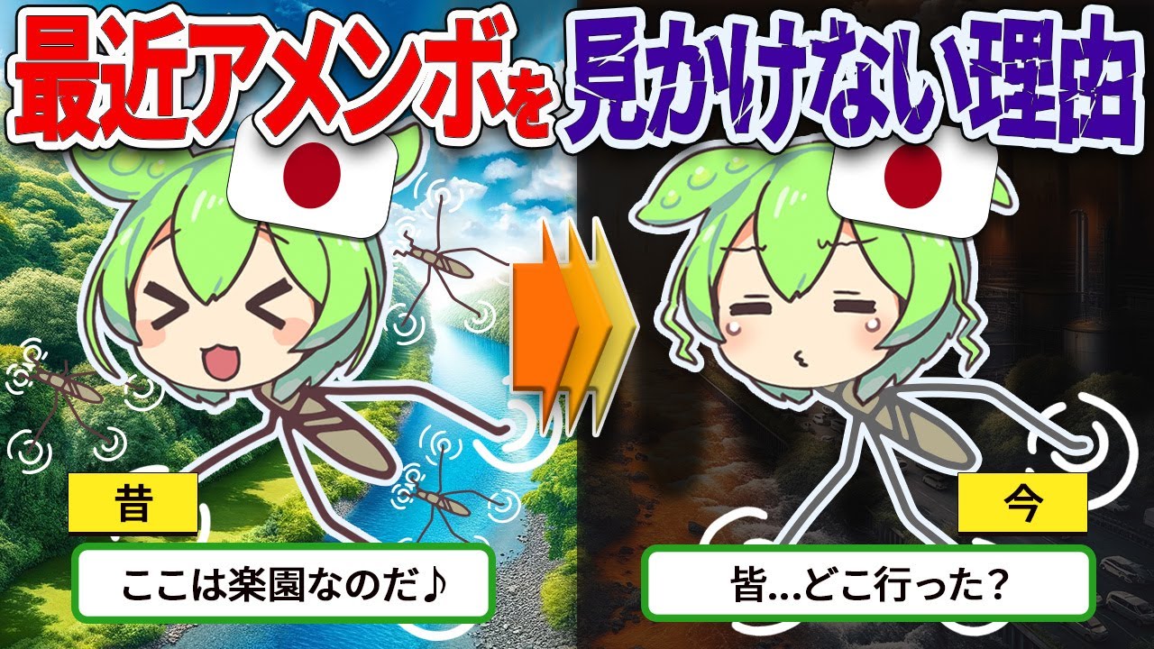 【闇】最近、日本のアメンボを見かけない衝撃の理由とは？【ずんだもん ゆっくり解説】