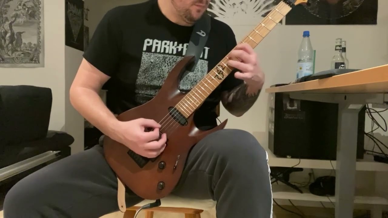 Sargeist - Sanguine Rituals (Guitar play-along)