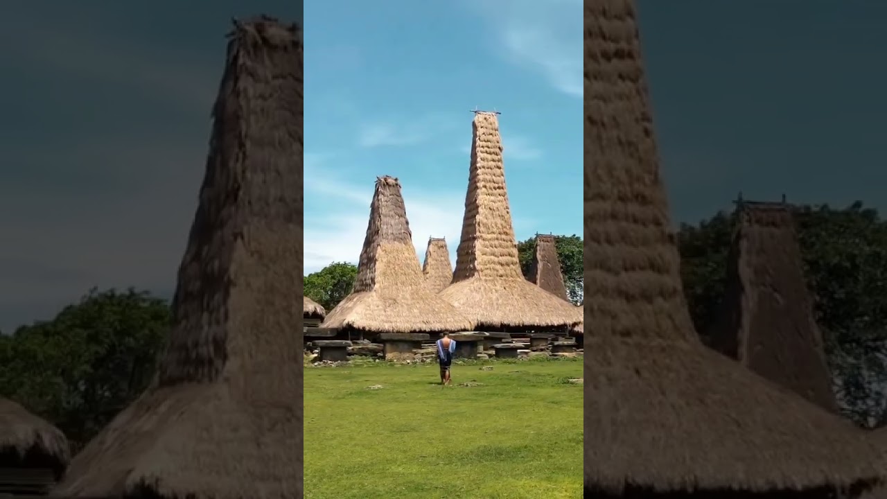 Rumah Adat Sumba NTT Atapnya terbuat dari Alang like, koment, subscribe yah fypp you tube