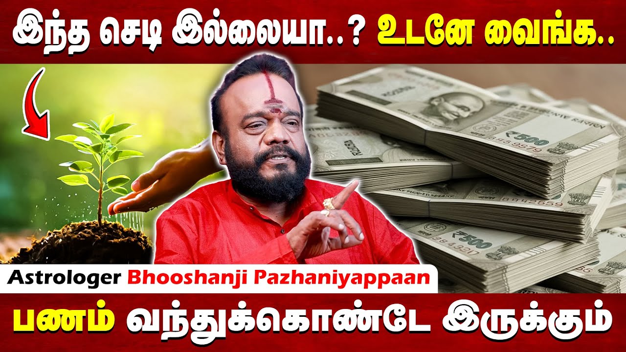 உங்க வீட்டில் இந்த செடி இல்லையா..? உடனே வைங்க.. பணம் வந்துக்கொண்டே இருக்கும்..! | Bakthi Prime |