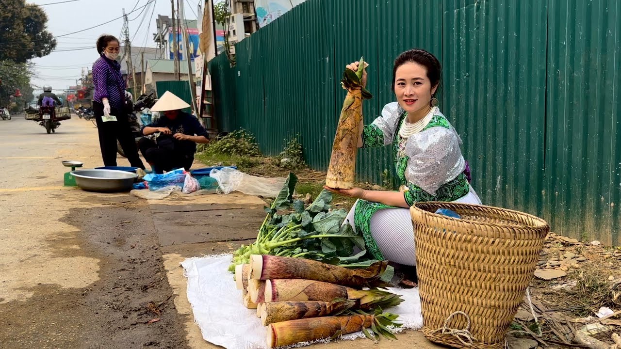 Harvesting Bamboo Shoots, Broccoli, Bring to the market to sell, Gardening, Growing vegetables