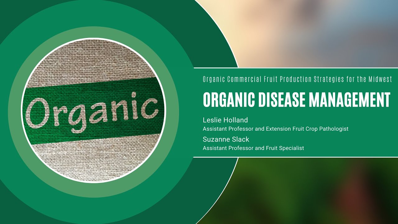 Organic Disease Management: Organic Commercial Fruit Production Strategies for the Midwest