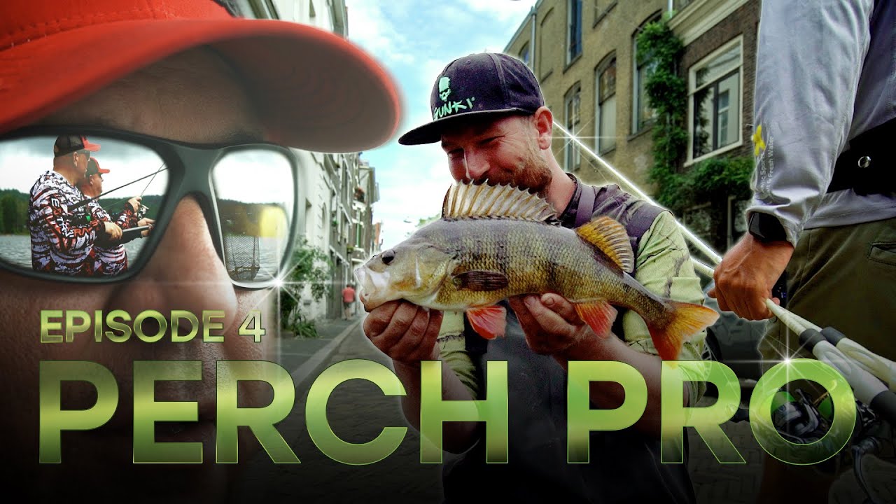 PERCH PRO 10 - Эпизод 4 (Русские субтитры)
