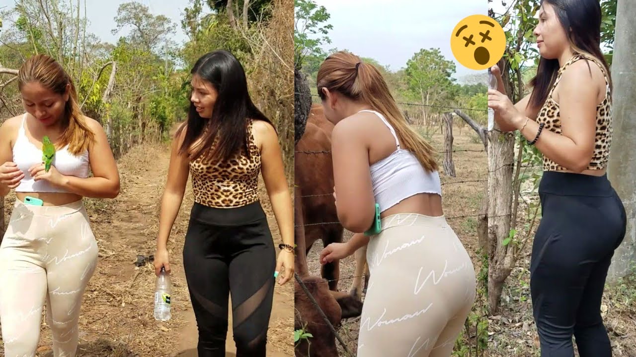CAMINANDO EN LOS CAMPOS | RETOS EN CAMPO 2
