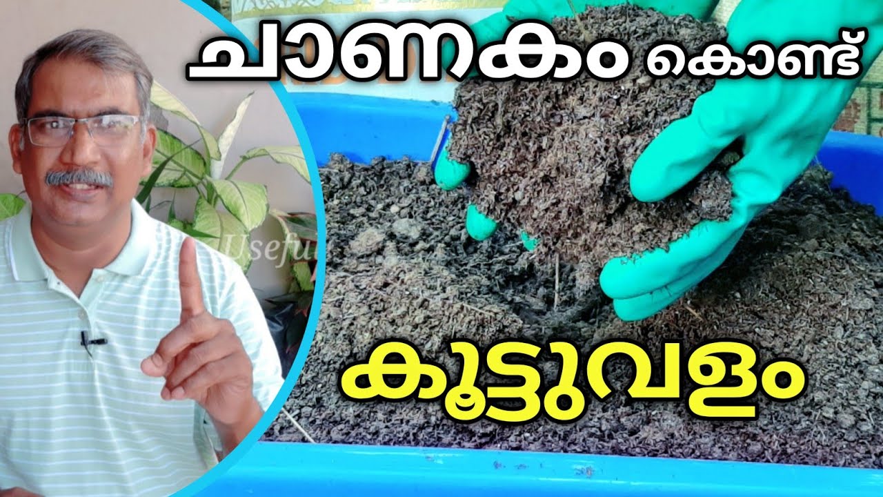 ചാണകം കൊണ്ട് എങ്ങനെ കൂട്ടു വളം ഉണ്ടാക്കാം|How to Compost Cow Manure at Home|Krishitips in Malayalam