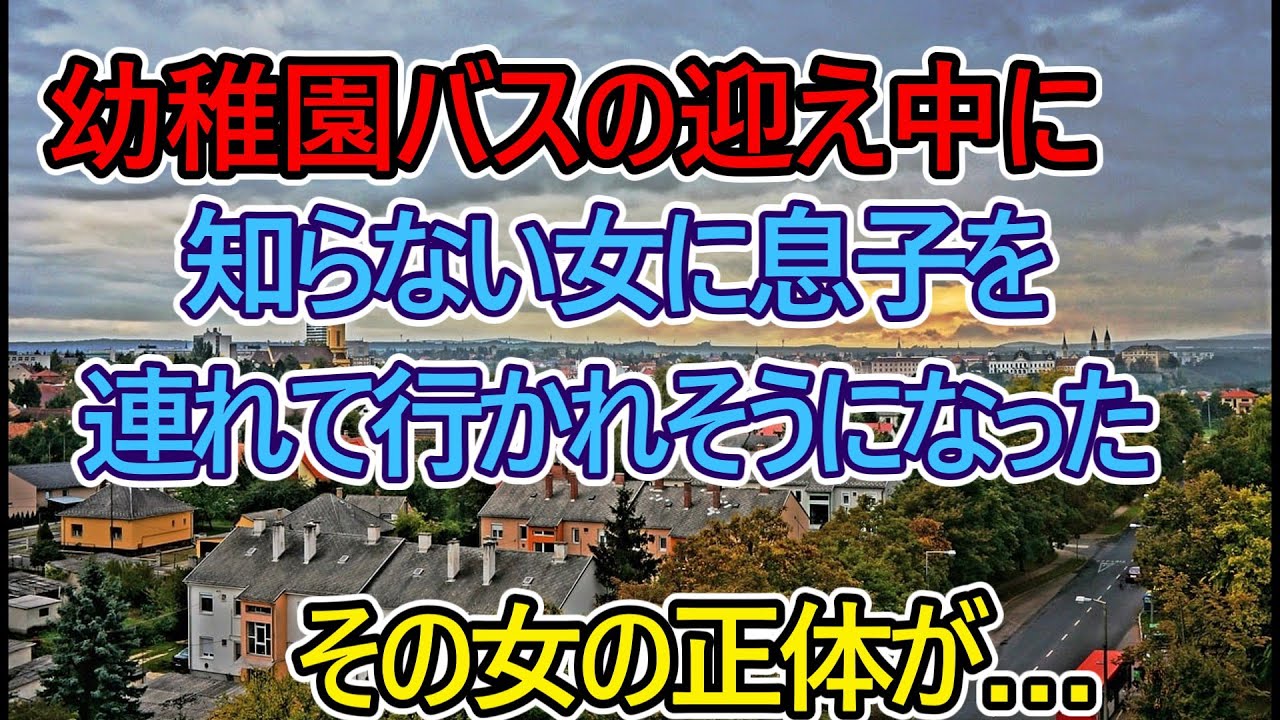 【猫ミーム】幼稚園の迎え中に、知らない女に息子を連れて行かれそうになった。その女の正体が…【スカッと】