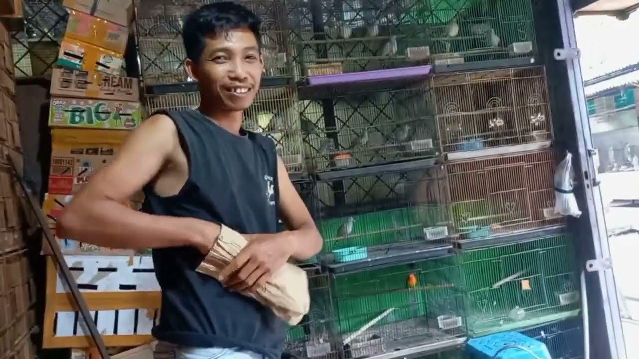 Harga burung di pasar burung jawa