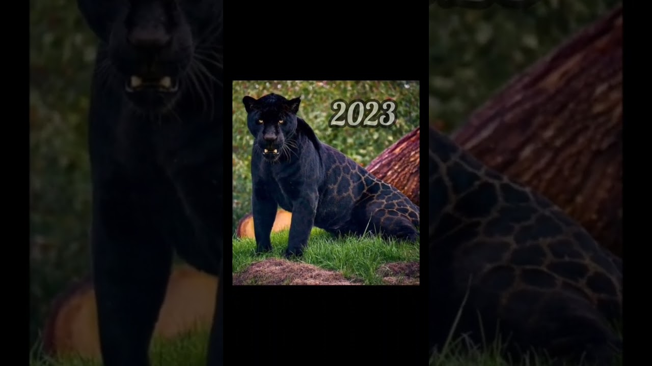 2023 jaglion and 5000bce jaglion || Past animals ||#shorts #Trend #trend #new #evolution #animal