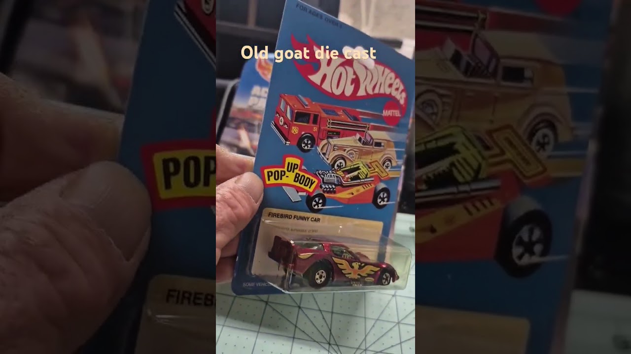 hot wheels hunting 😎