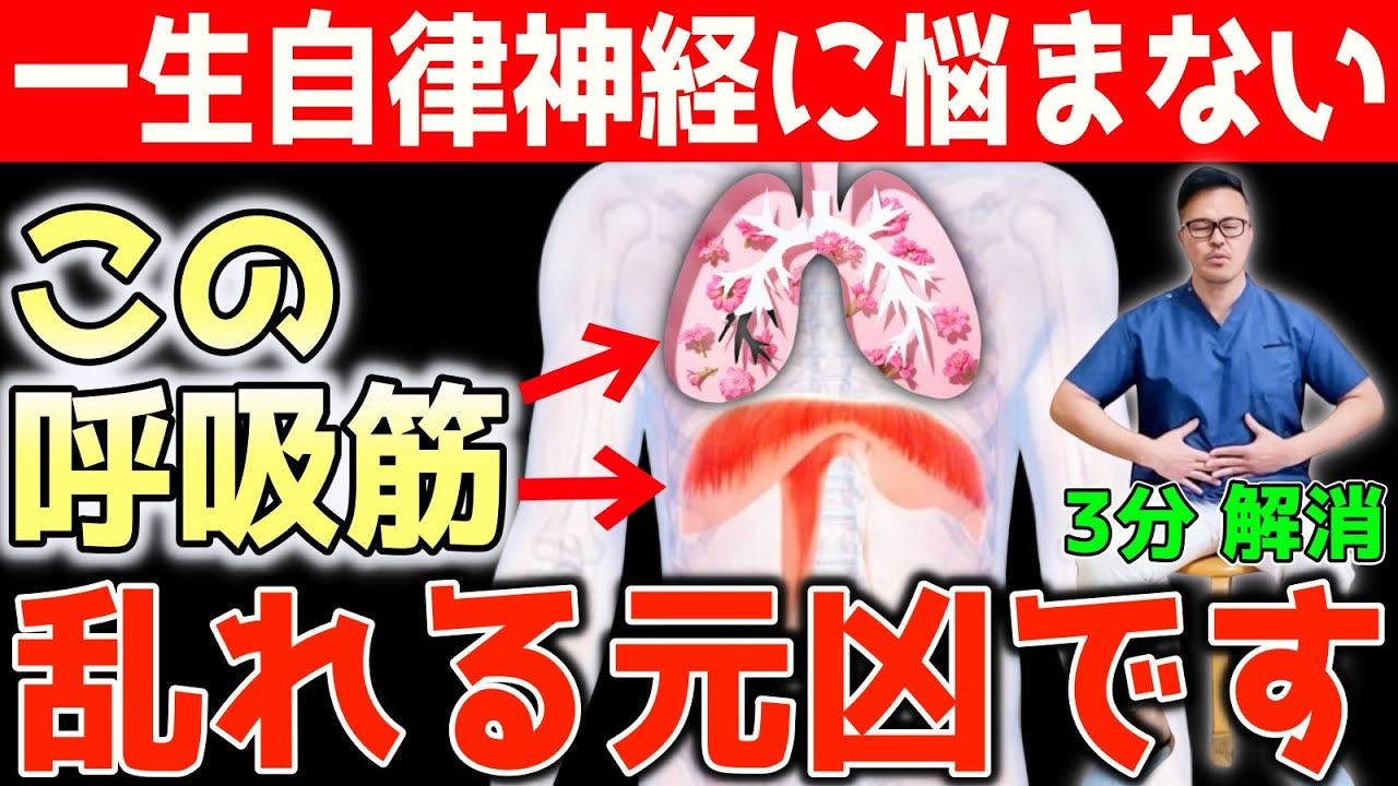 【だから自律神経が乱れ続ける】たった3分！秘密の〇〇筋 呼吸 改善法するだけで自律神経も整いあらゆる不調も改善！→（睡眠・ストレス・猫背・巻肩・ストレートネック・五十肩）