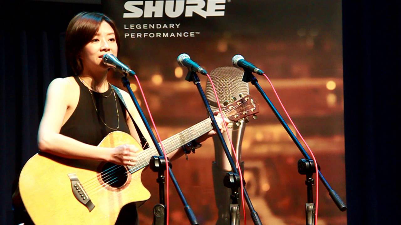 SHURE  KSM8