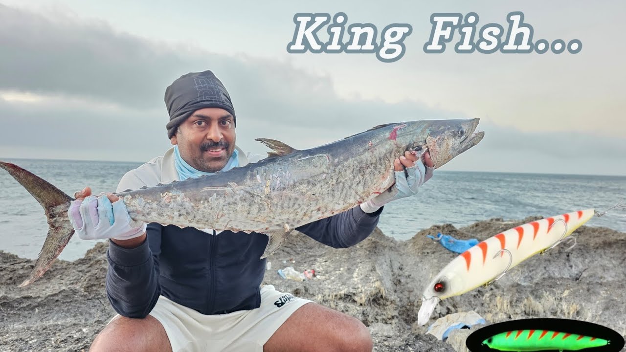 Big King Mackerel/King Fish from Shore... South Of Oman. #creativeanglers #omanfishing #King Fish