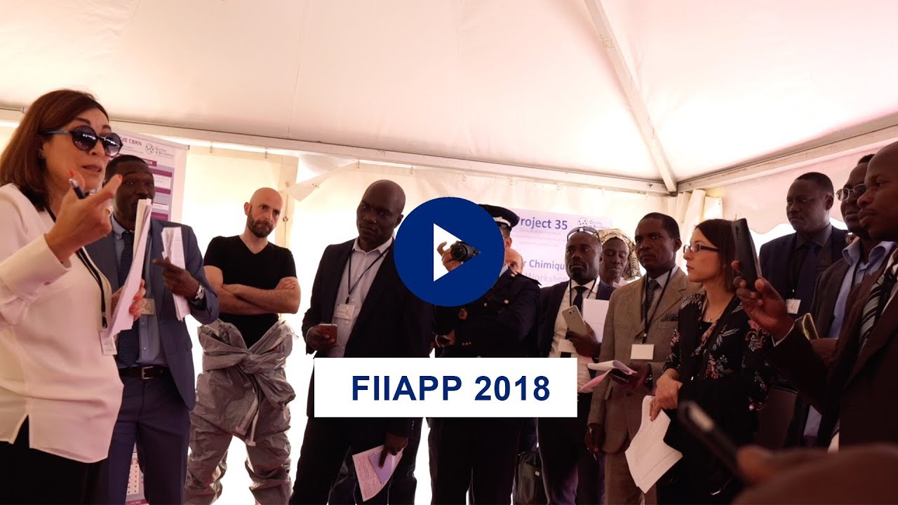 Vídeos FIIAPP: la FIIAPP en 2018