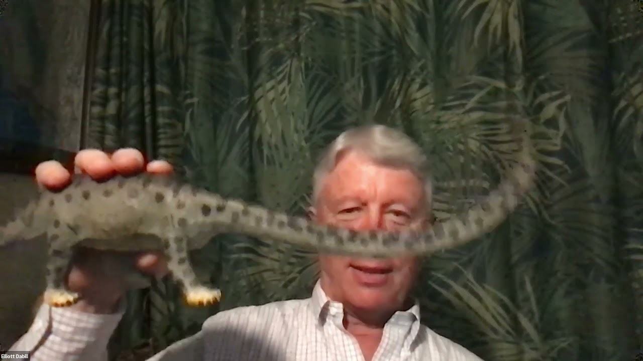 NHM Questions to Ask a Dinosaur - An Evening Lecture