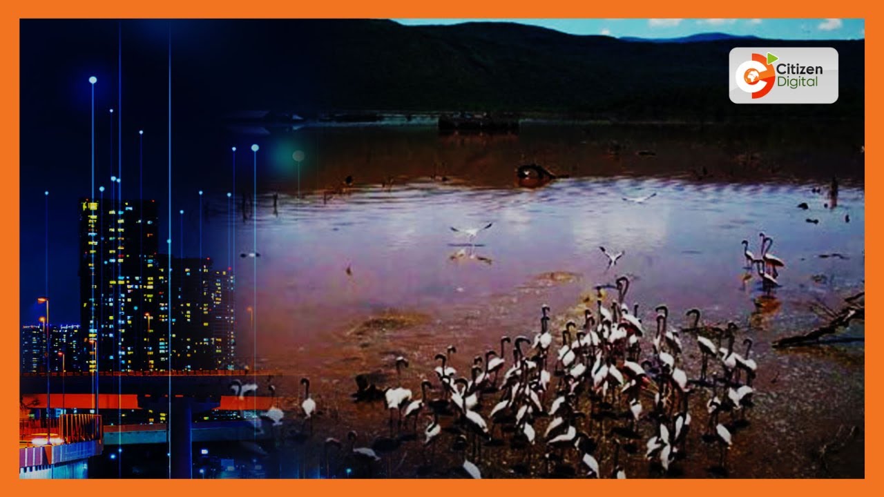 Lake Bogoria Alert