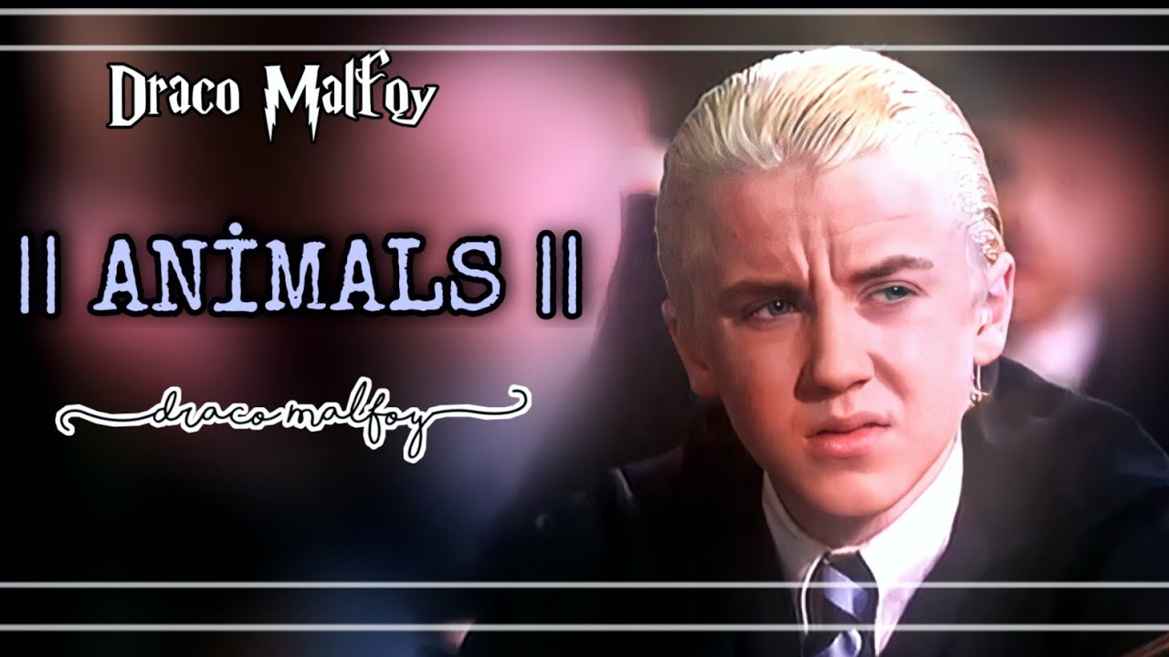 Draco Malfoy || Animals