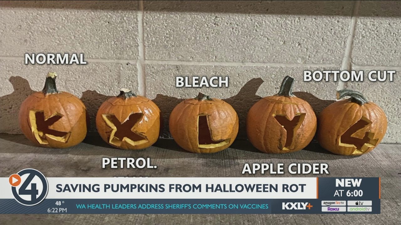 What are the best ways to keep your jack-o'-lanterns looking good?