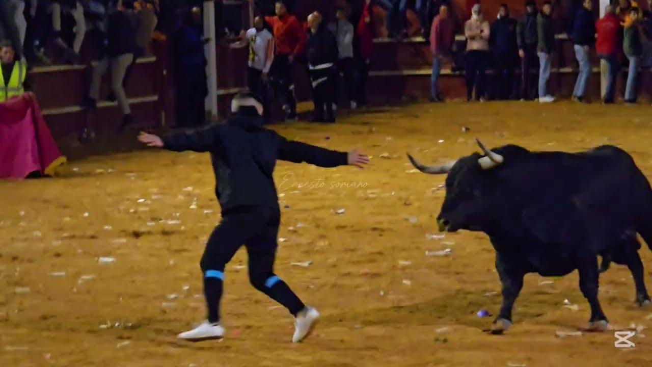 Ciudad Rodrigo primer día de capea nocturna 28 Marzo 2025