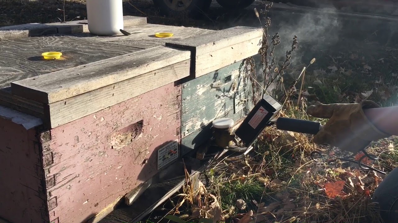 Oxalic Acid Vapour Treatment with a ProVap110- a Canadian Beekeeper’s Blog