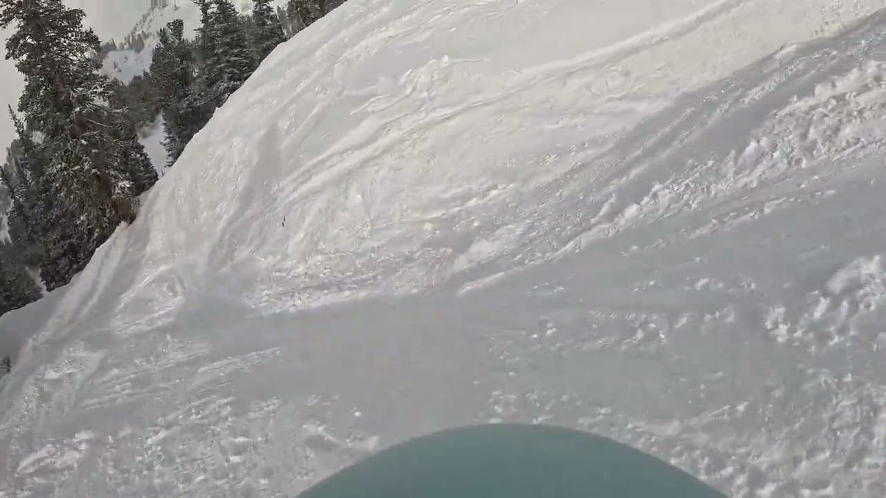 Catherine's Area at Alta