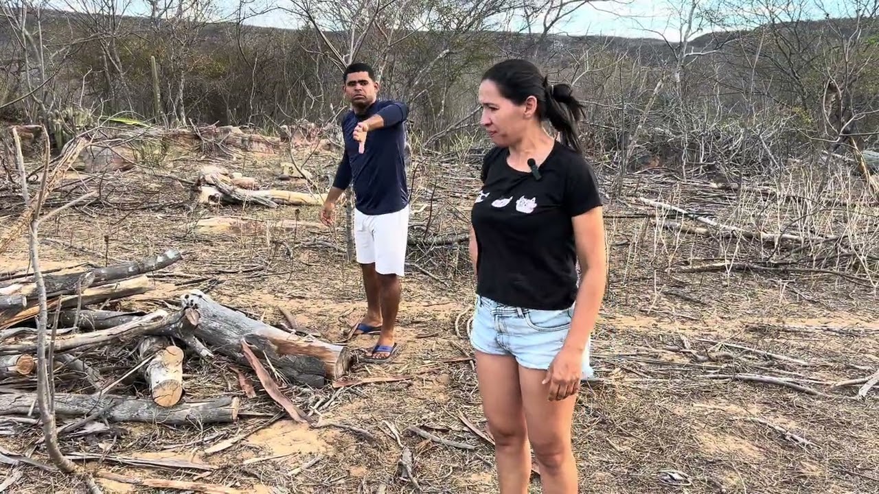 Claudinha estava entediada e olha no que deu