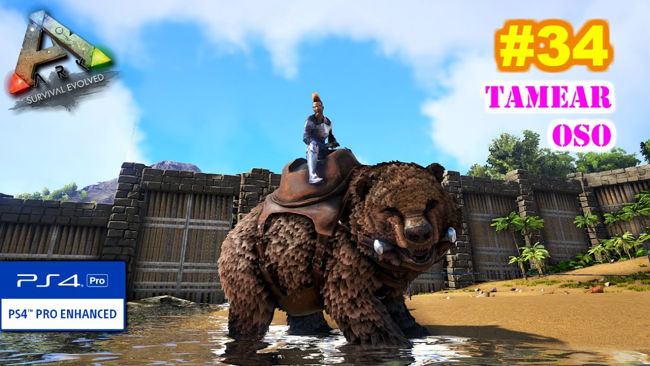 TAMEAR OSO (DIREBEAR) + KIBBLE CARNO | ARK Survival Evolved PS4-PRO [#34] | Servidor Oficial PVE