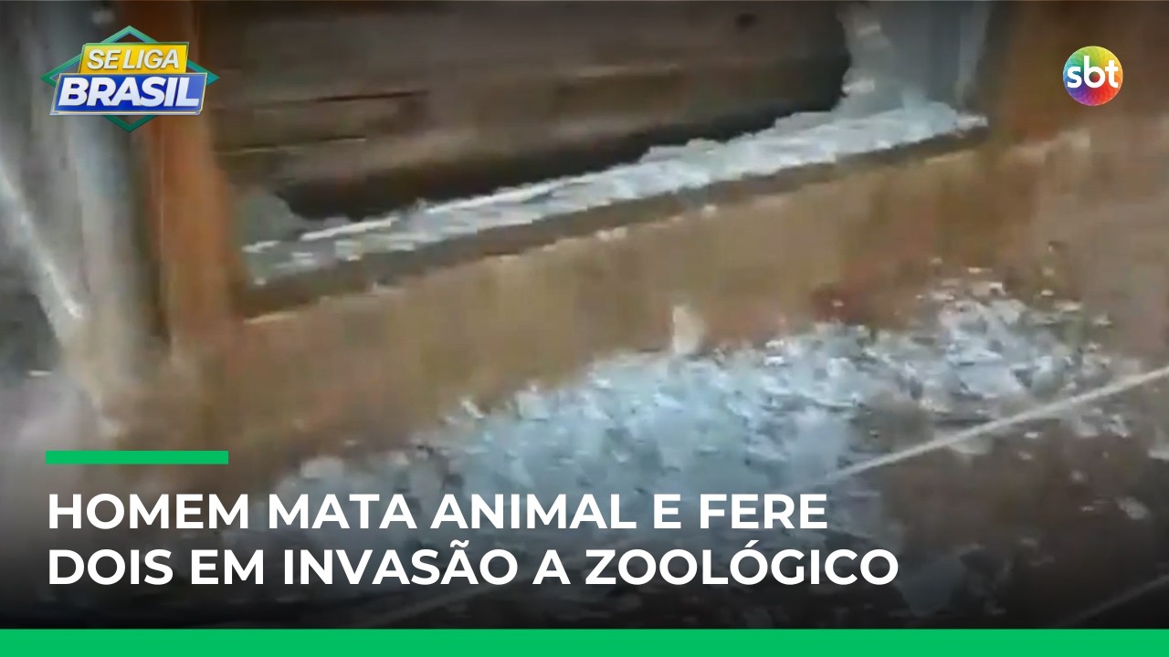 Homem invade zoológico, mata animal e fere outros dois no interior do RS | #SeLigaBrasil