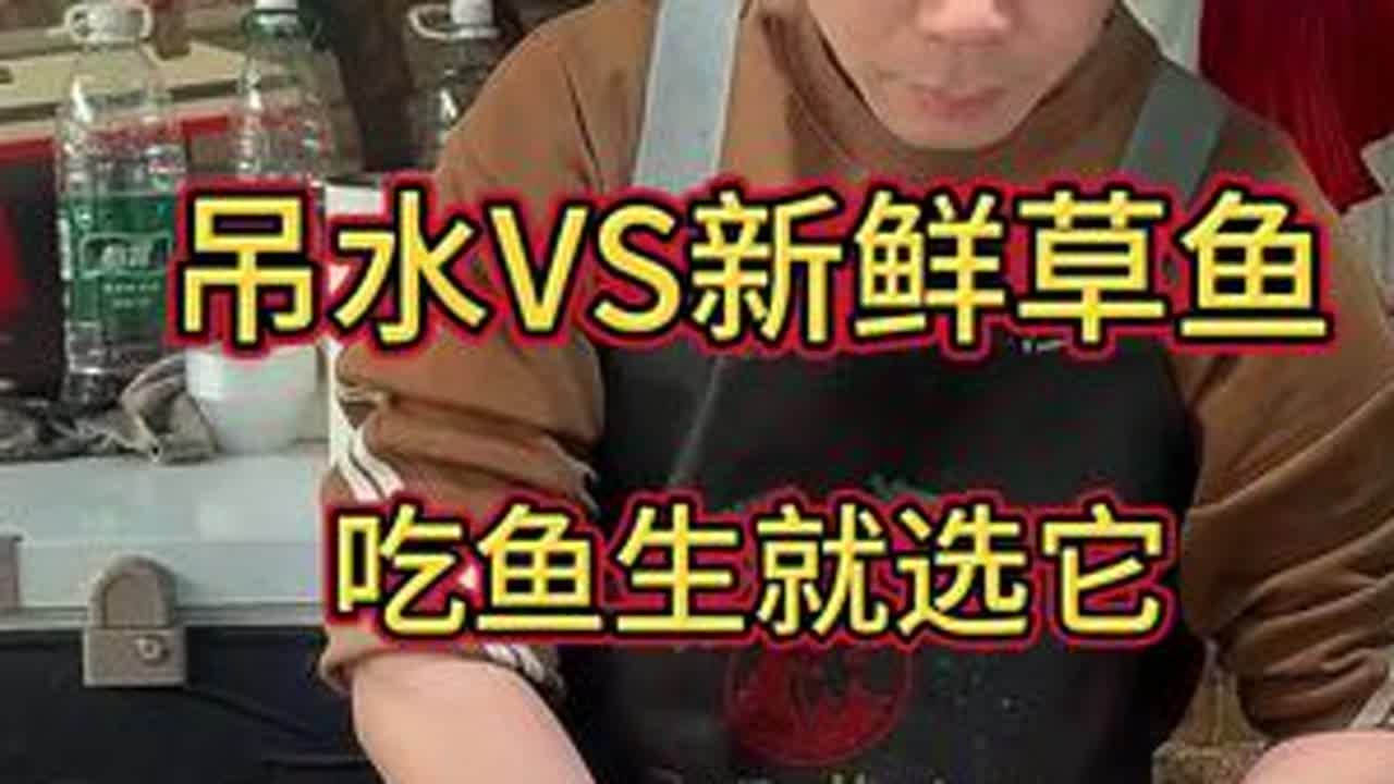 吊水鱼和新鲜鱼哪个好吃，喜欢吃鱼生可以选这种杀鱼技术 刀工 草鱼