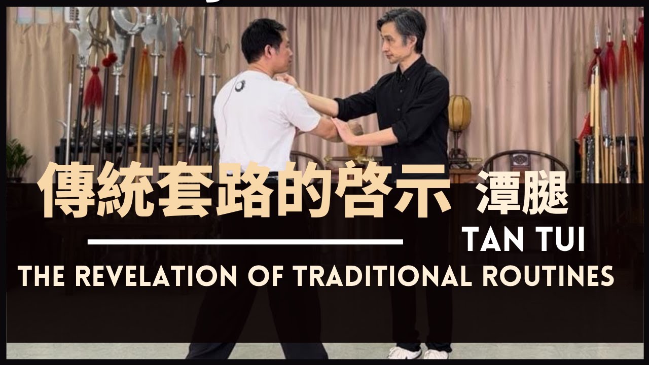 The Revelation of Traditional Routines - Tan Tui 傳統套路的啓示 潭腿