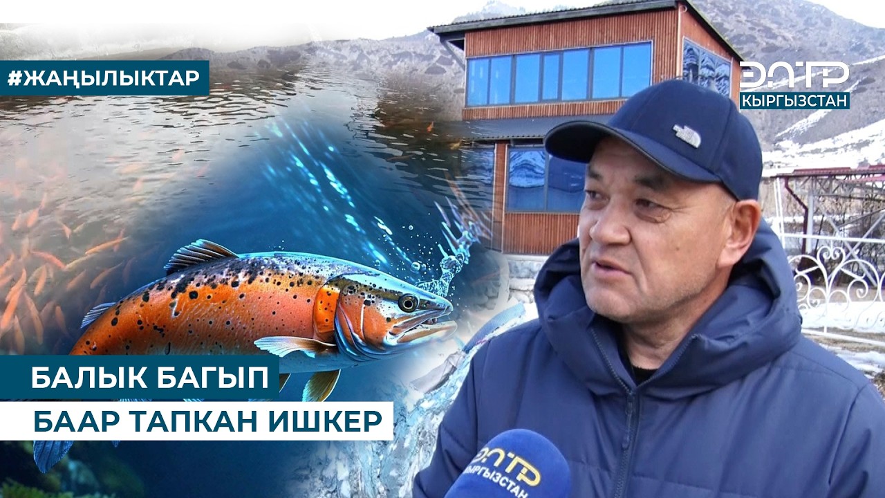 БАЛЫК БАГЫП БААР ТАПКАН ИШКЕР